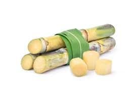 PEELED SUGAR CANE PACK