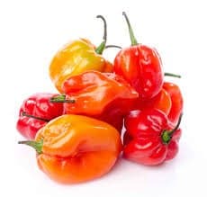 Habanero Chillies