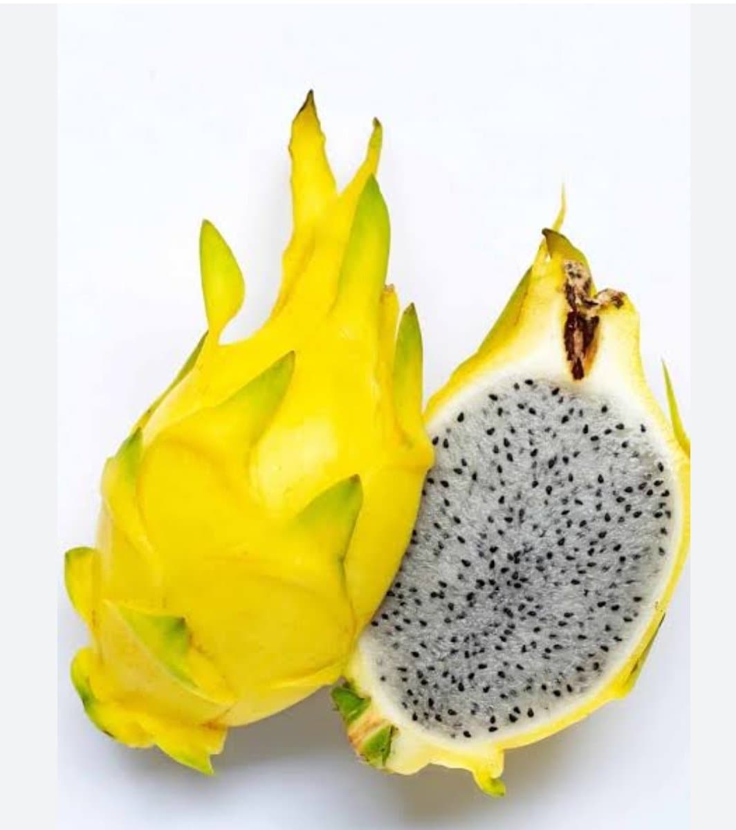 DRAGON FRUIT YELLOW 1PC