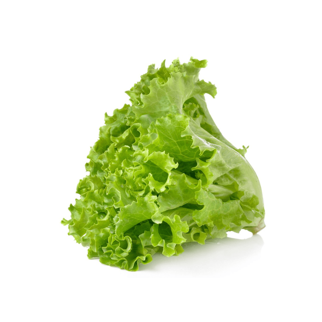 Lettuces bunch