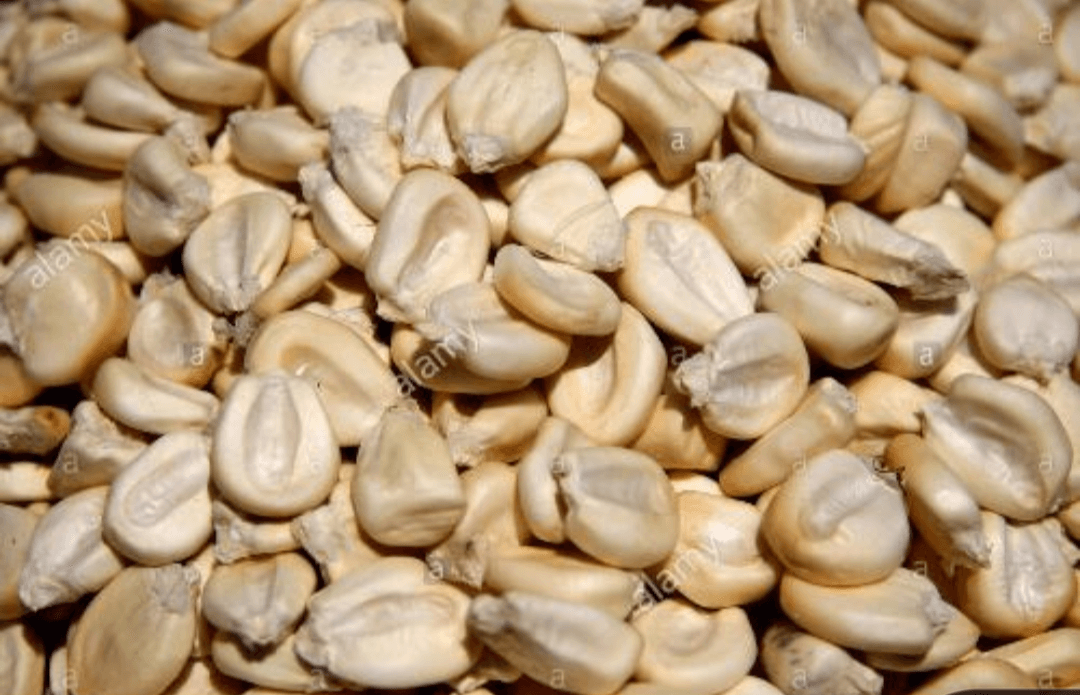 Dry maize
