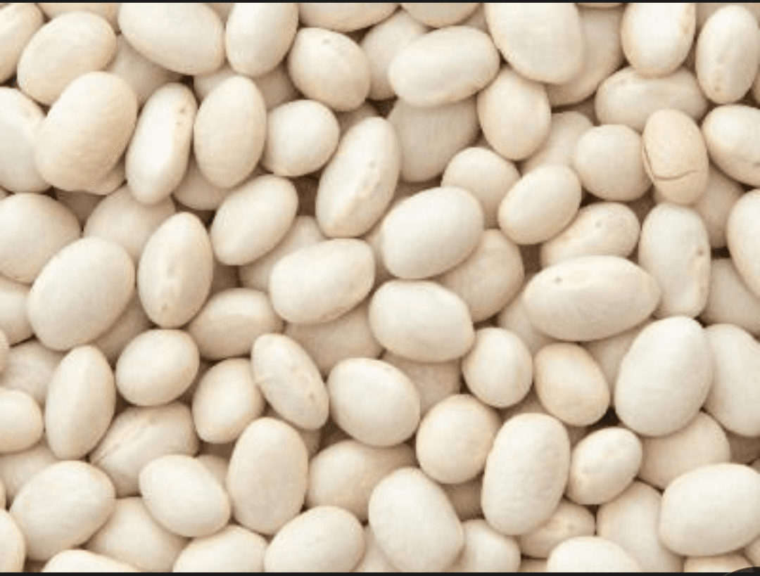 Organic white beans 500g