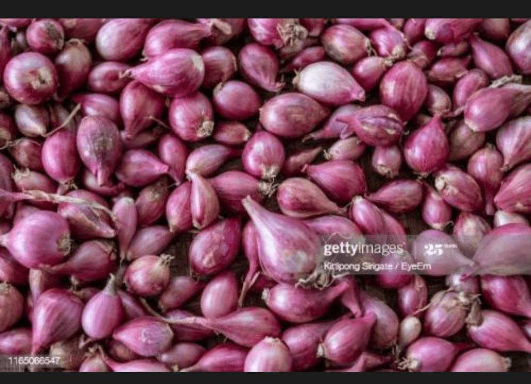 Challot onion 500mg