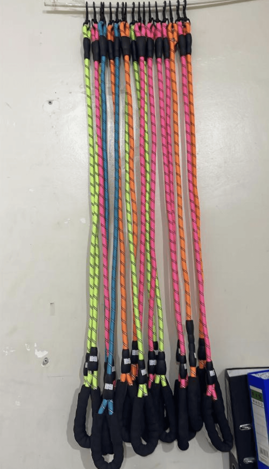 TZ Dog leash