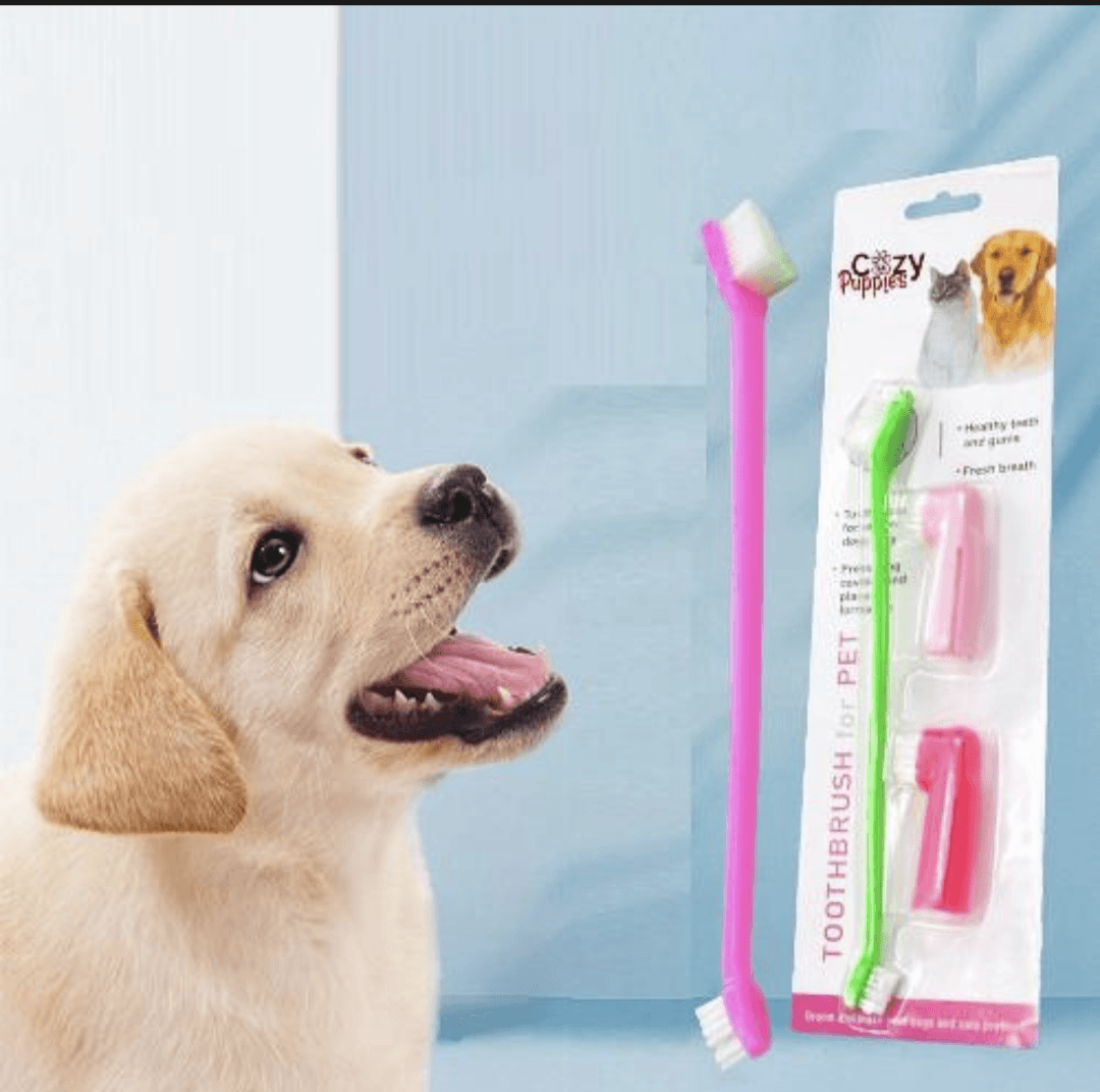 Toothbrush for PET