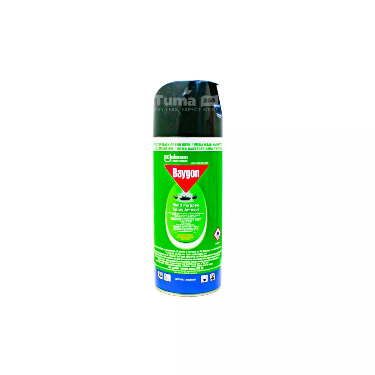 Baygon Multi Purpose Spray Aerosol 300ml