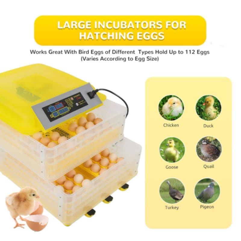 112-Egg Incubator Full Automatic