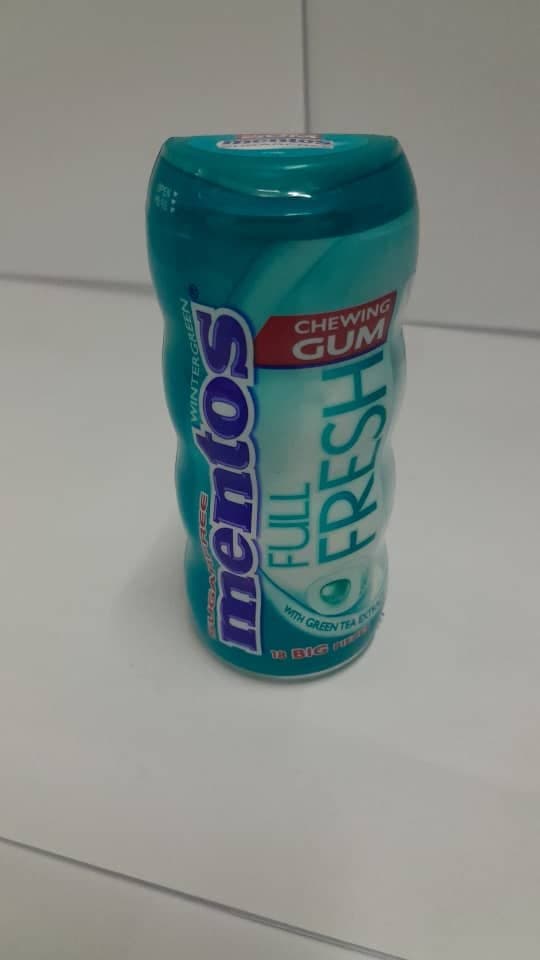 Mentos Winter Green Chewing Gum 31g