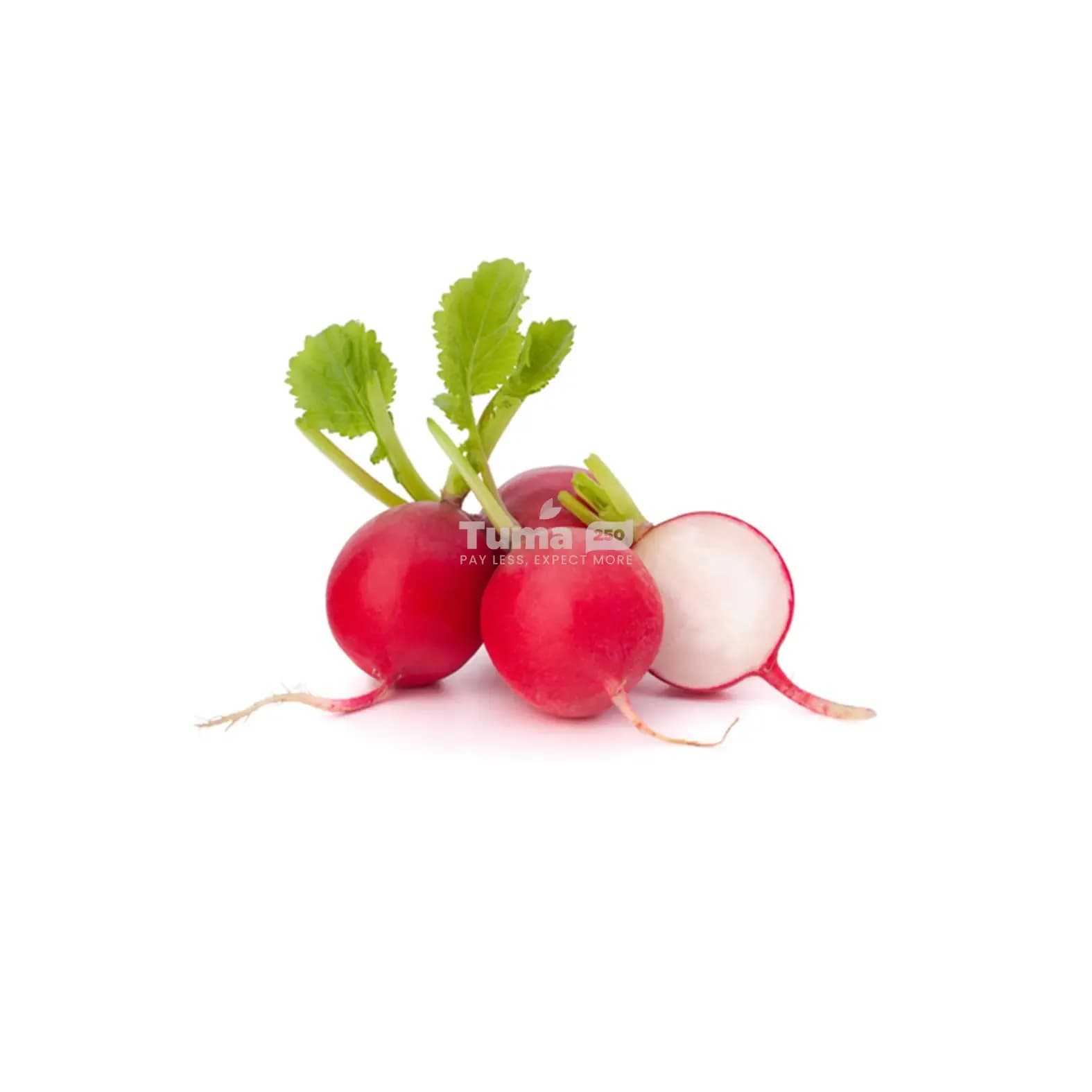 Radish – Radis (Bunch)