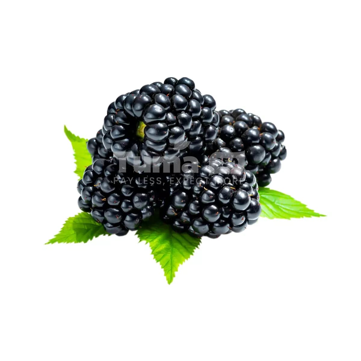 Blackberries In Box 125g