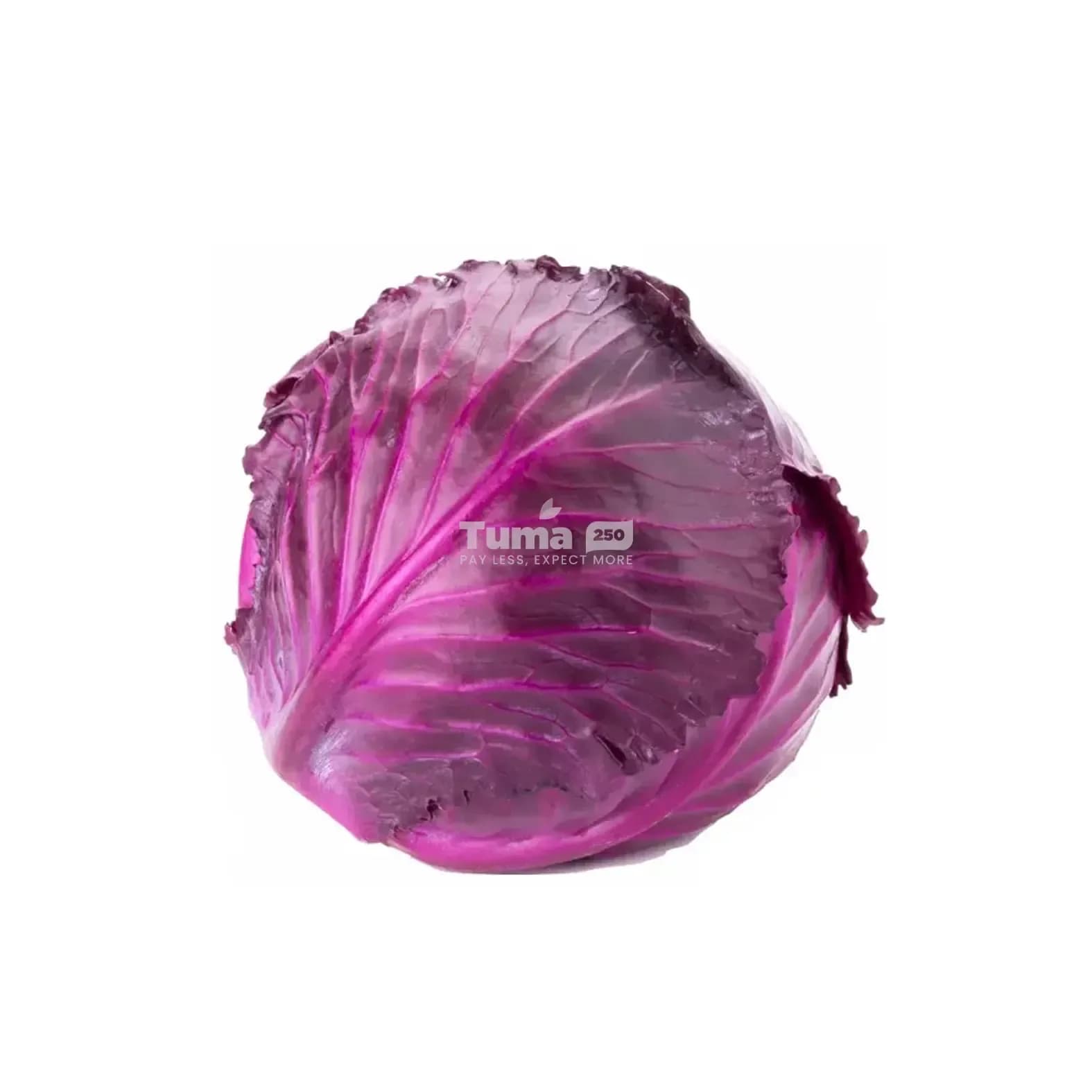 Red Cabbage/Chou Rouge