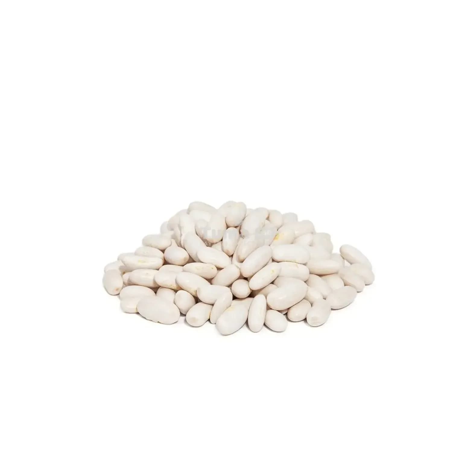Small White Beans
