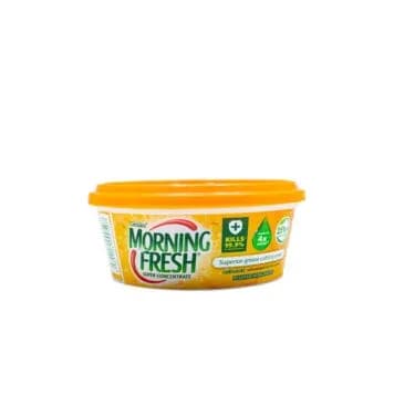 Morning Fresh Orange and Tea Tree Flavour Dishwashing Paste 400g
