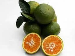 Mandarin /Kg