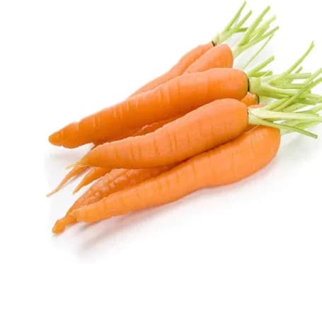 Fresh Carrots/ Kg