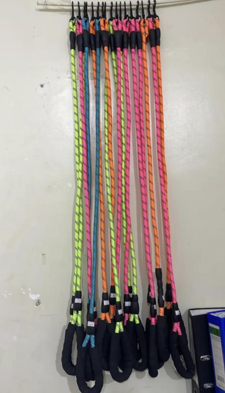 TZ Dog leash