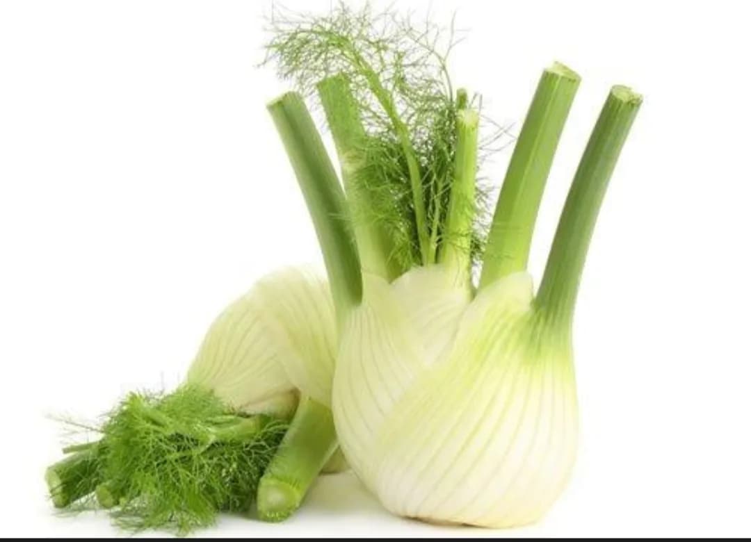 Fennel 1kg