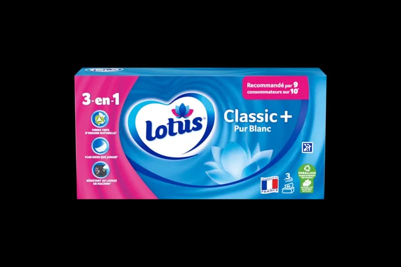 Lotus Mouchoirs 80pcs