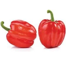 Red bell pepper