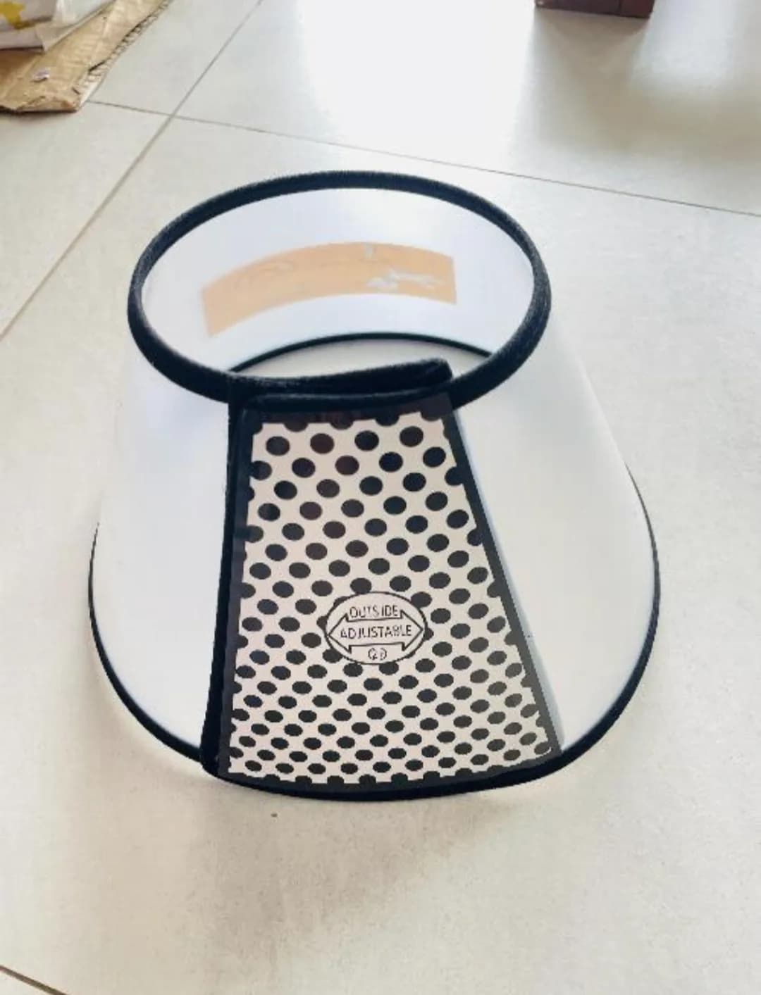 Dog cone small