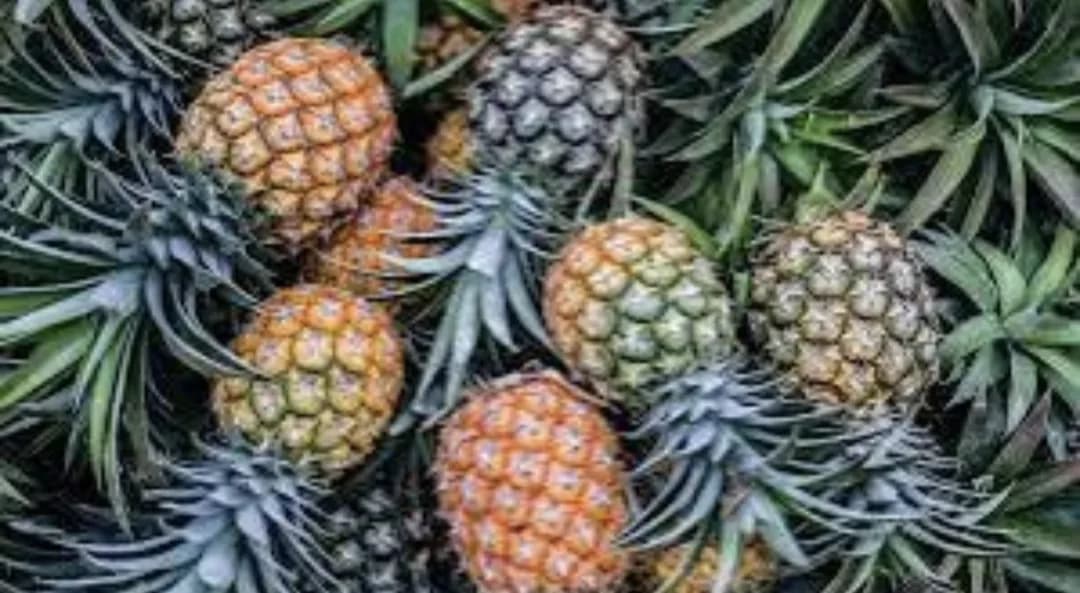 Pineapple small 1pcs