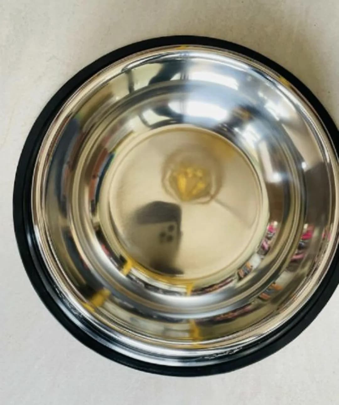 Big Dog Plate