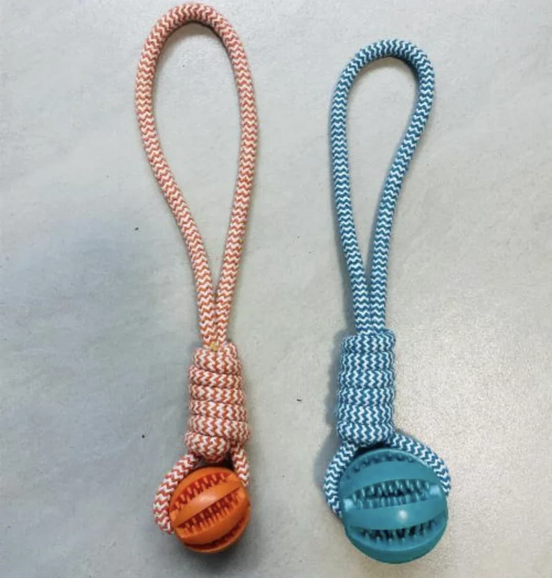 ZT DOG TOY