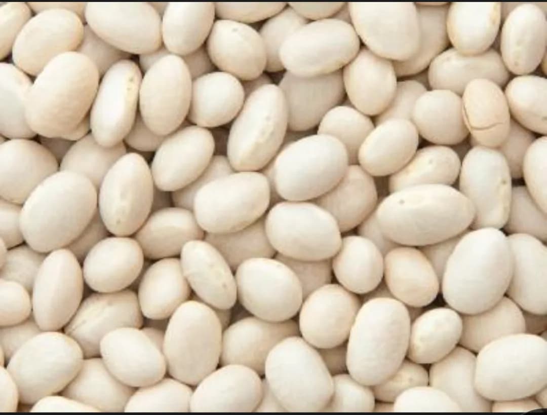 Organic white beans 500g