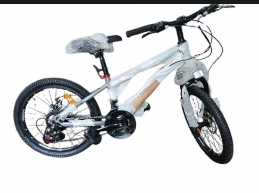 Bicycle 5 Silves