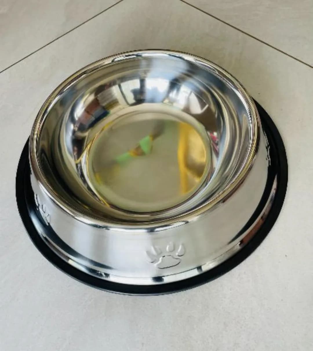 Small Dog Plate