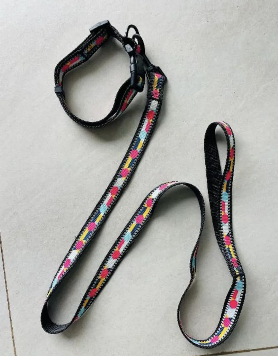 Puppy Leash 051512