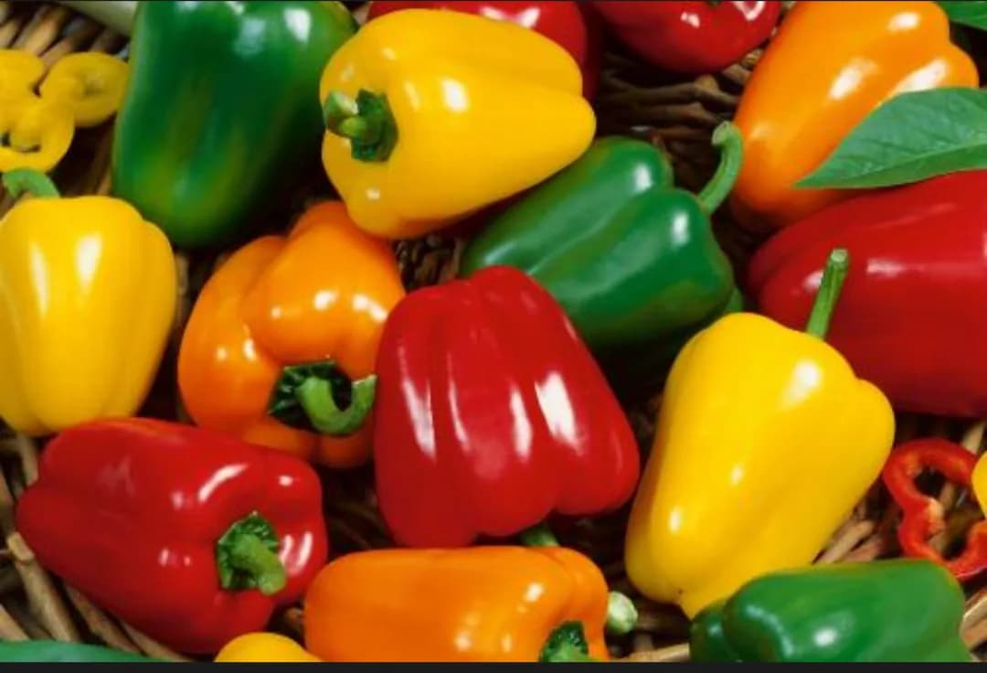 Bell pepper Mix 1 kg