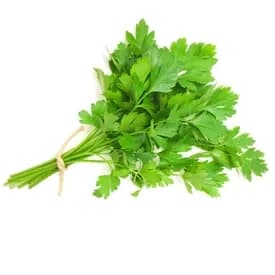 Celery - Celerie /Bunch