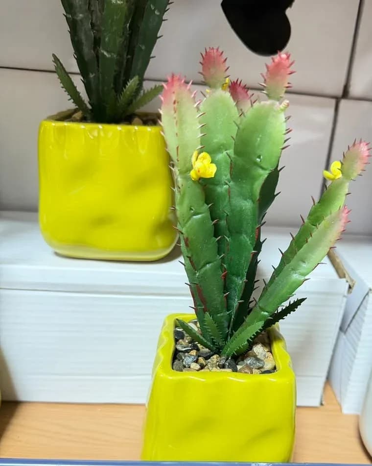 plastic simulation artificial cactus plan