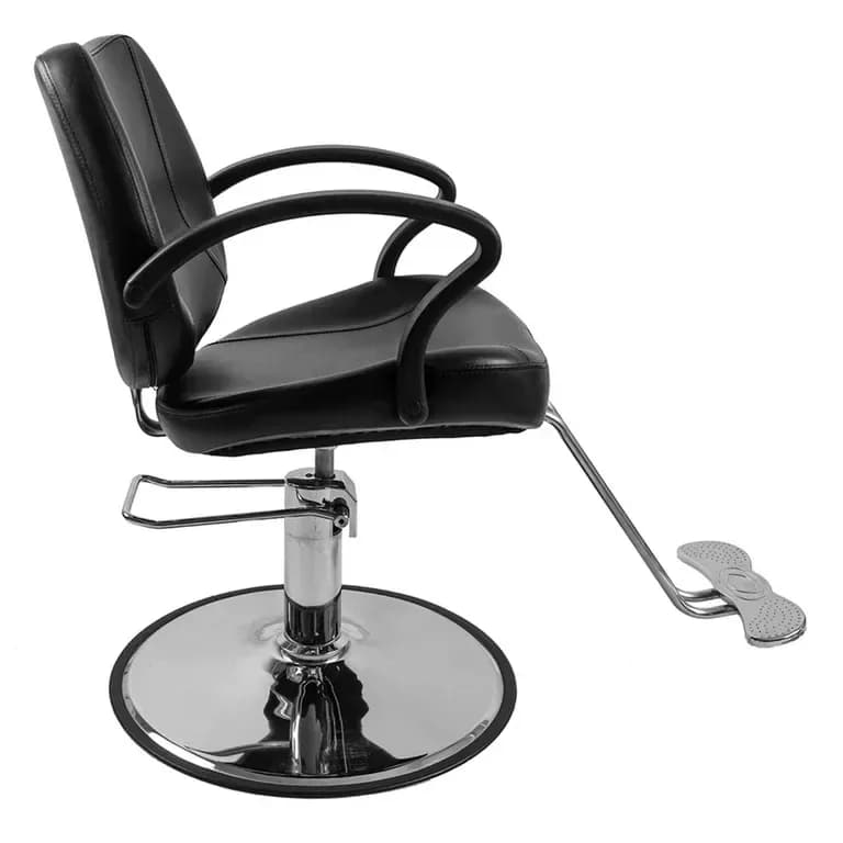 Salon Chair