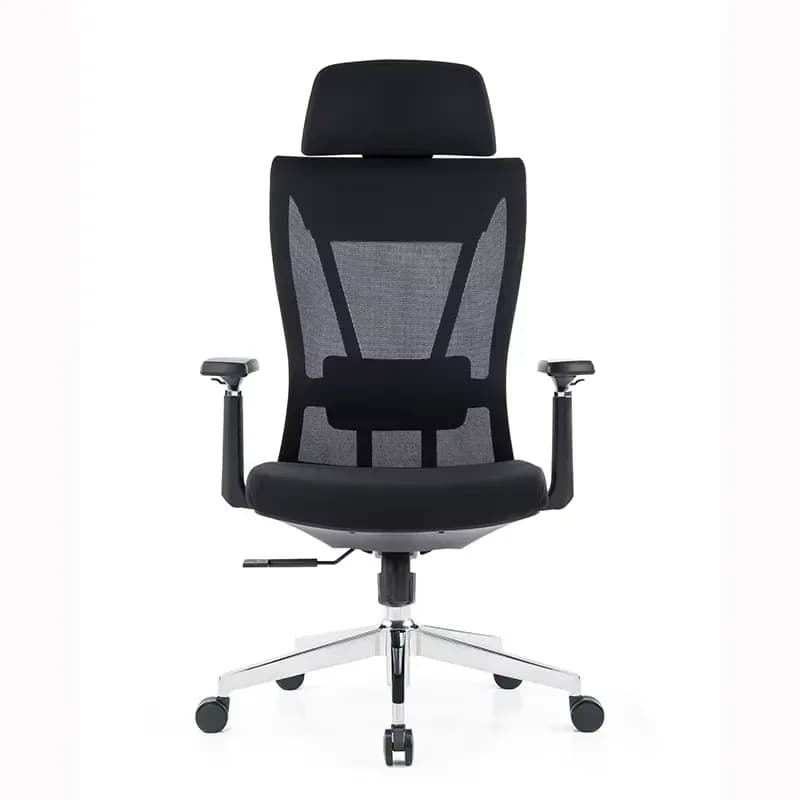 Office Comfort Redefined