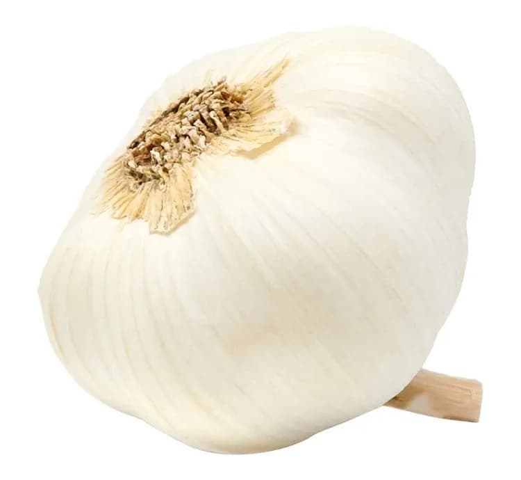 Tungurusumu 500g Garlic 500g