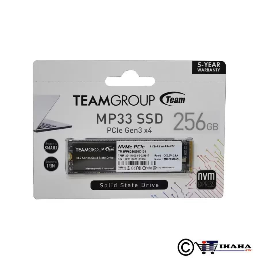 TEAMGROUP SSD (Solid State Drive) M2 256GB
