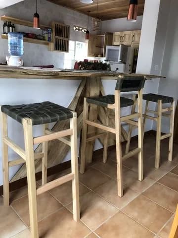 Eucaluptus and Leather Chair