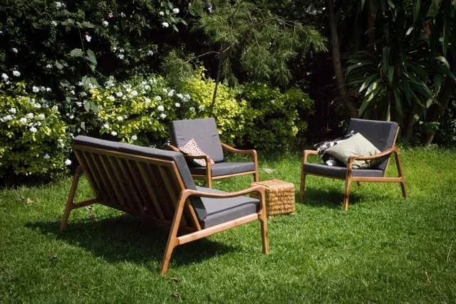 Sofa + 2 Lounge Chairs