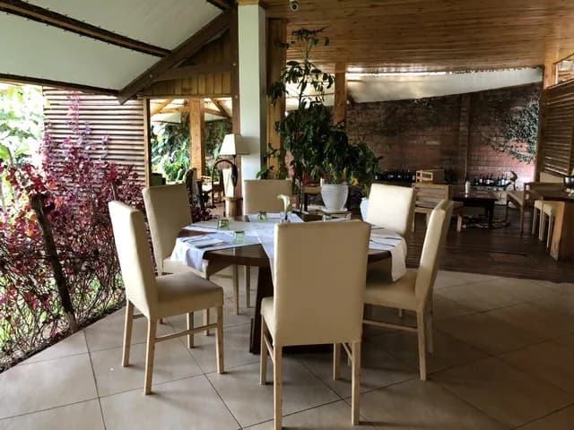 Cypress and Upholstered Chair