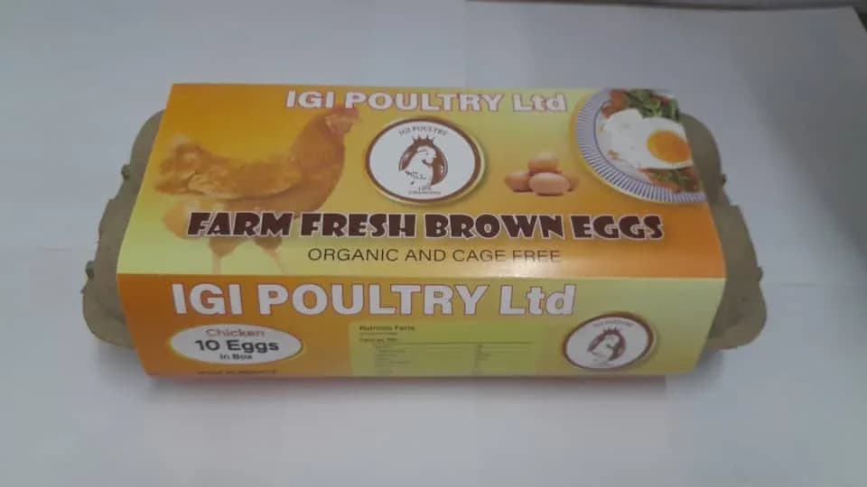 Eggs 10 Pack