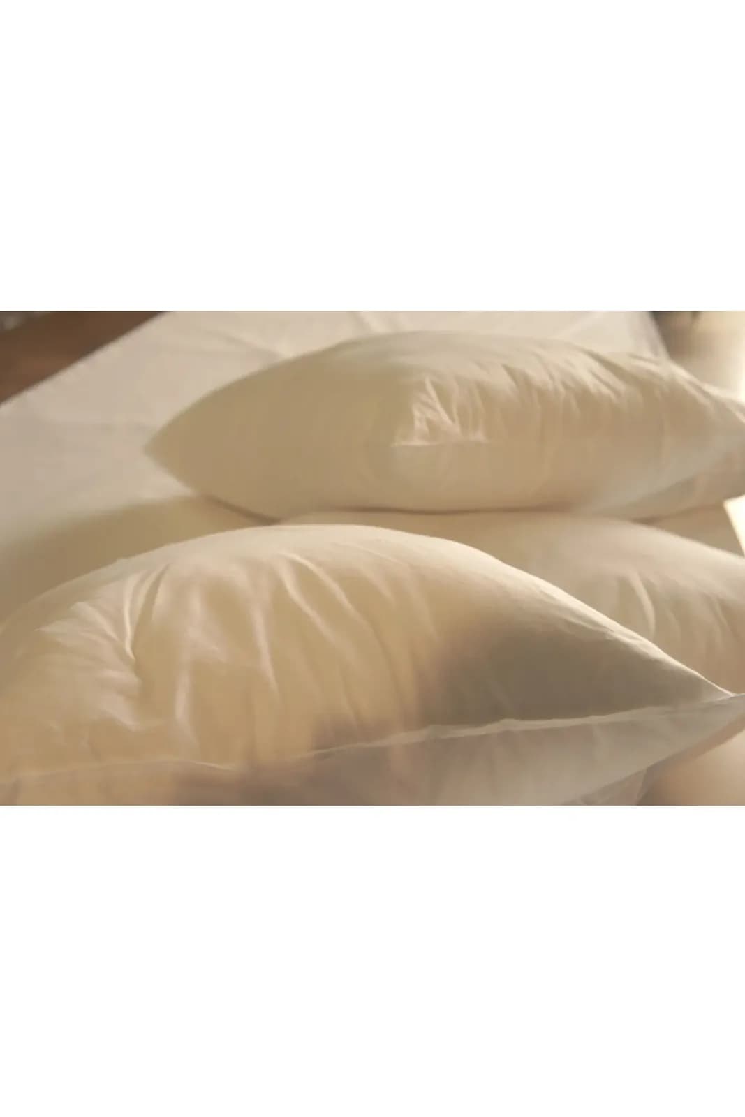 WHITTE PILLOW