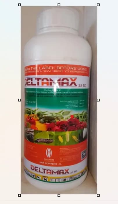 Deltamax (Deltametrine) Insecticide Phi 1 day 1l