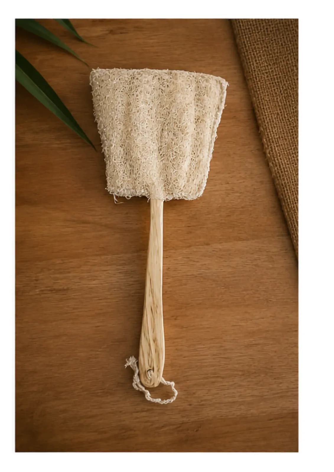 Back Scrubber