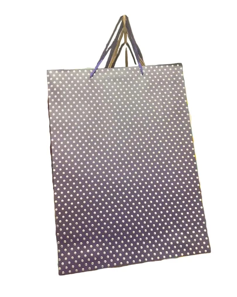 Mint Green Polka Dot Gift Bag