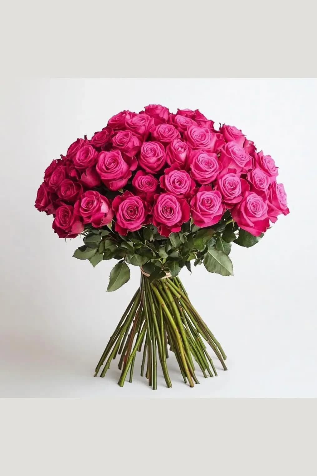 A Wrapped 100 Flowers Fresh Hot Pink Roses Bouquet