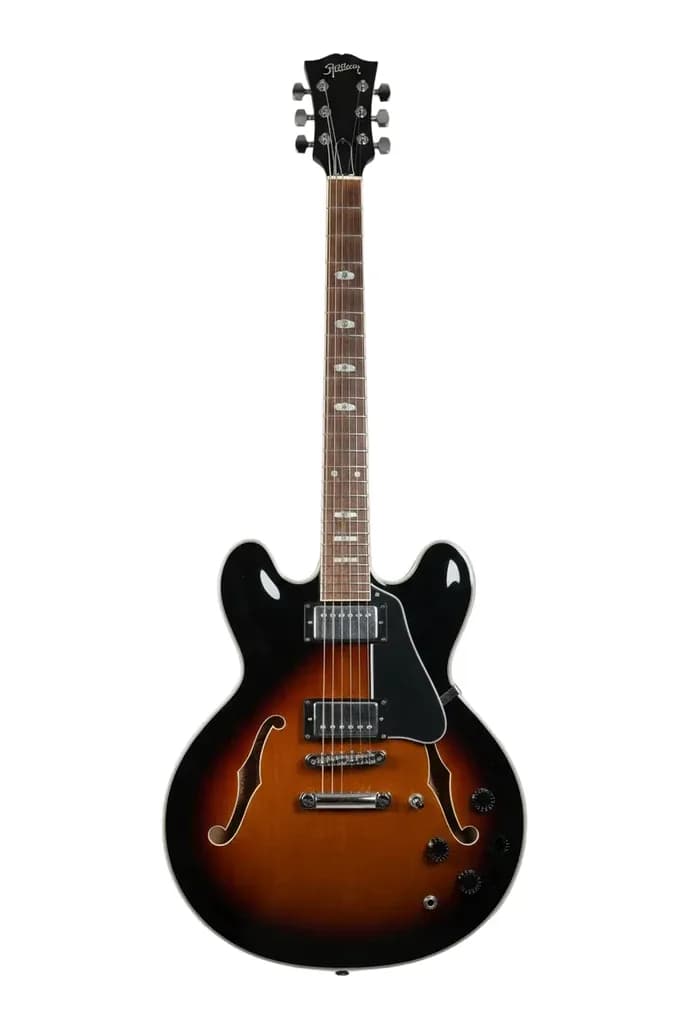 Acoustic-Electric Guitar