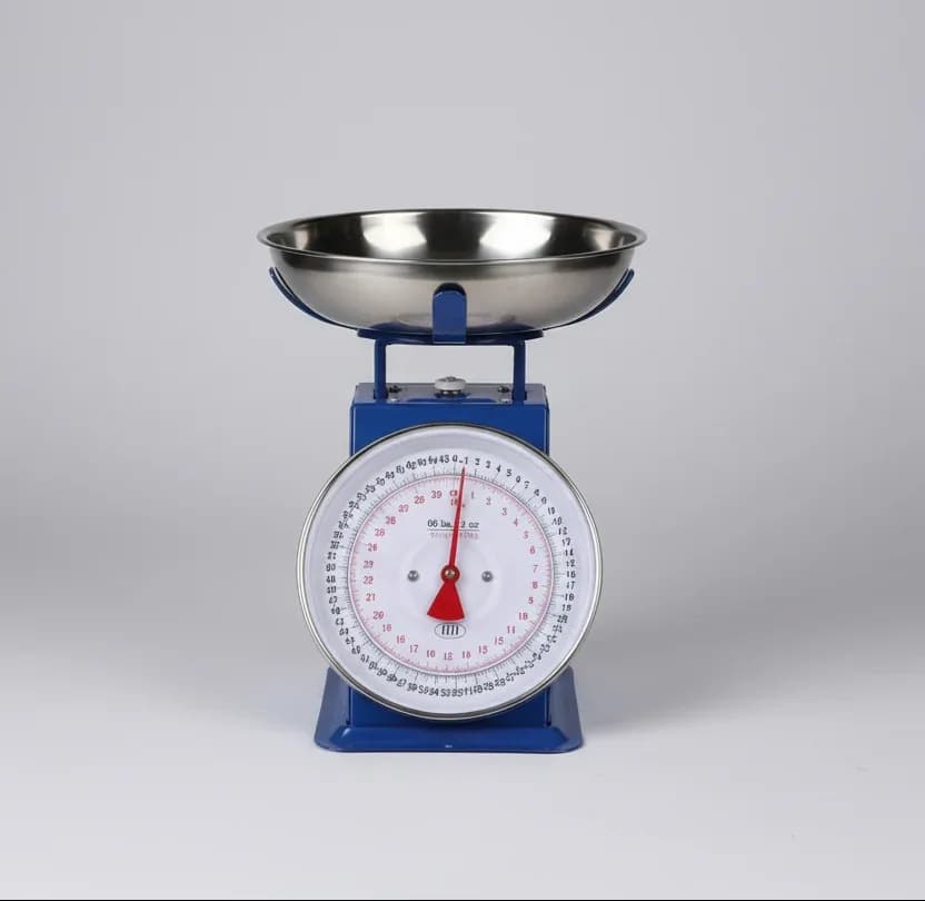 Camry Mechanical Dial Weighing Scale with Stainless Steel Pan Maximum 30kg