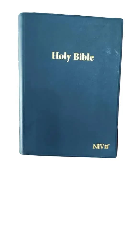 NIV Holy Bible (Teal Hardcover)